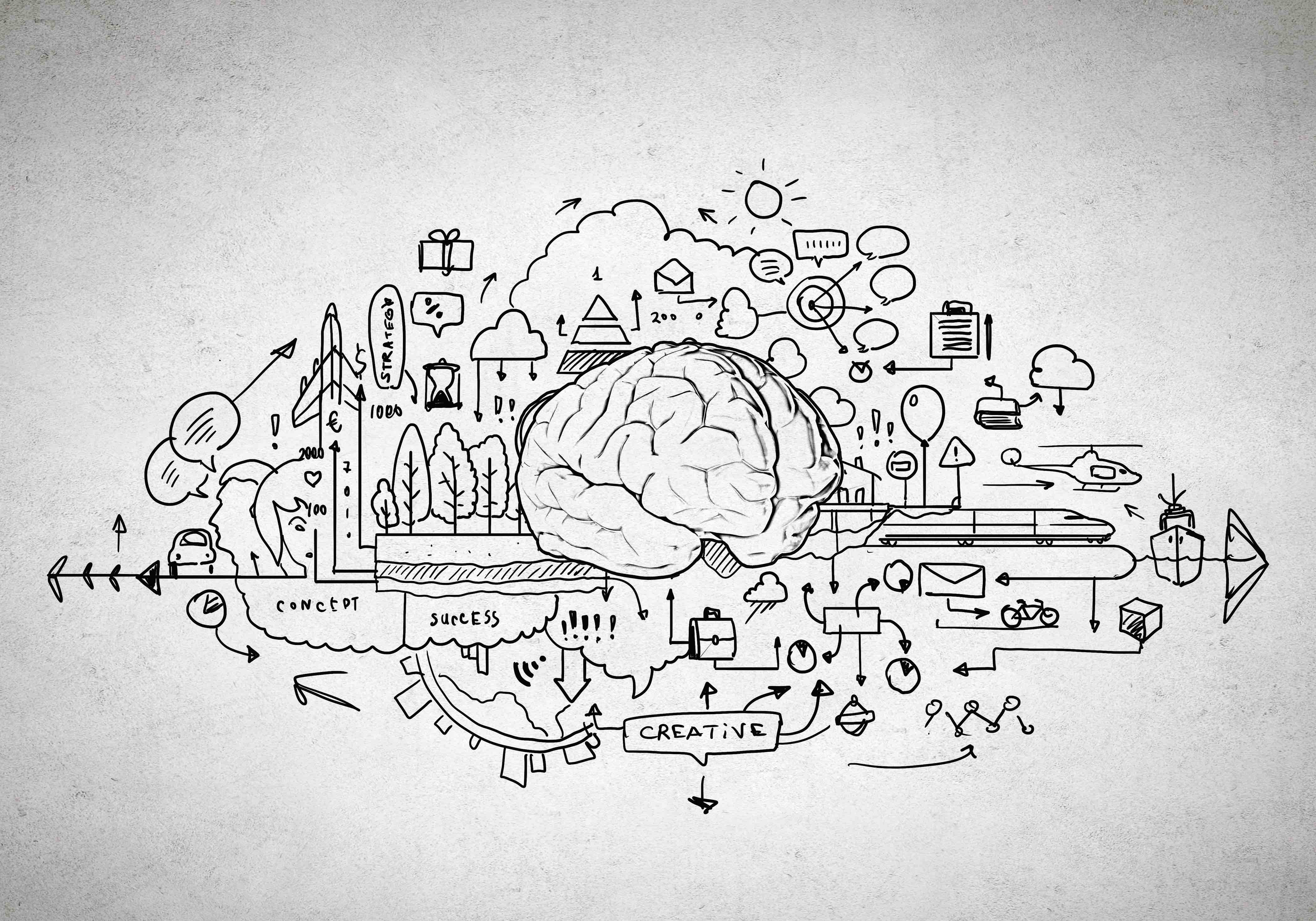Sketch of human brain and business ideas and strategy on white background